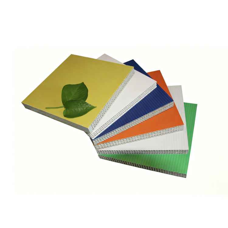 Reusable PP Shuttering Plywood for Concrete Formwork – Custom Solutions for Construction Projects