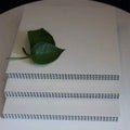 High-Performance Shuttering Plastic Systems | For Construction Mold Specialists