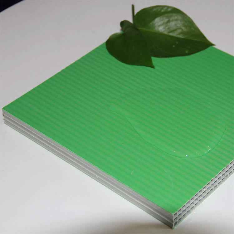 Innovative Hollow Sheet PP Formwork | Setting New Standards in the Plastic Formwork Market
