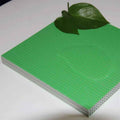 Innovative Hollow Sheet PP Formwork | Setting New Standards in the Plastic Formwork Market