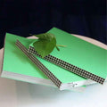 Eco-Conscious Plastic Formwork Systems | Affordable Plastic Formwork Price for Sustainable Construction Projects