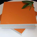 High-Performance Plastic Formwork for Concrete Walls | For Civil Engineering Companies