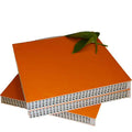 PP Hollow Plastic Formwork for Concrete Construction – Durable & Reusable