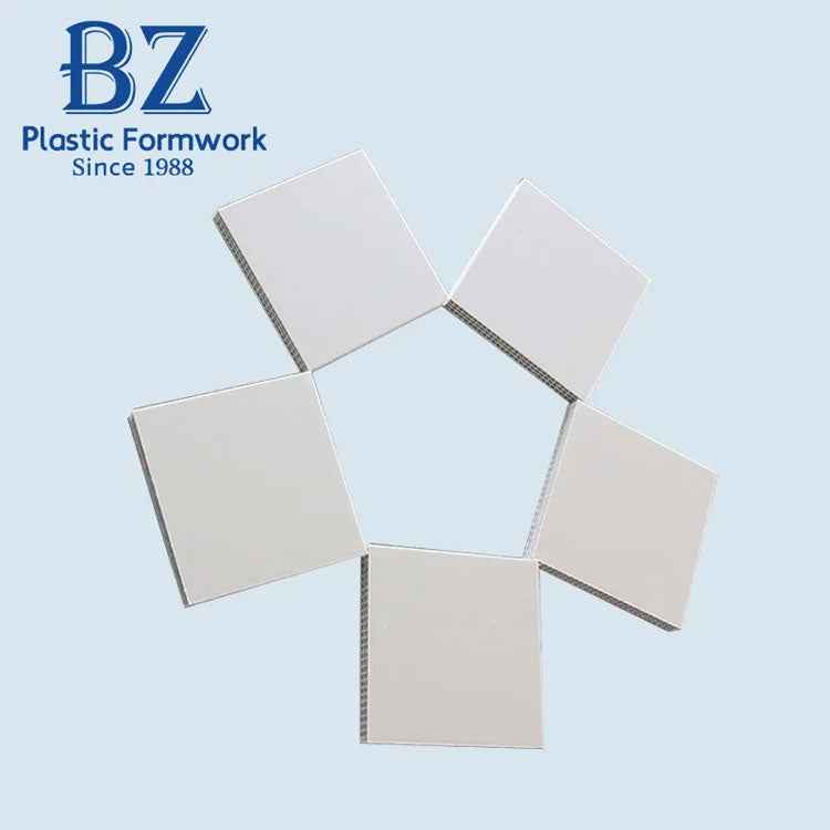 High-Reuse Recyclable Plastic Concrete Formwork for Concrete Building Construction | For Residential & Commercial Building Contractors