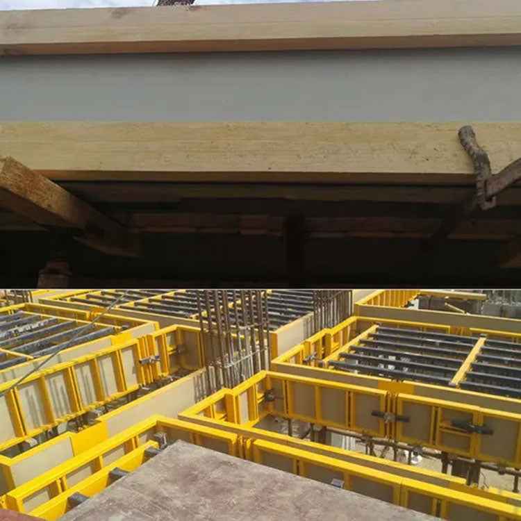 Chinese Manufactured Sustainable Plastic Concrete Formwork System | For Global Construction Engineering Firms
